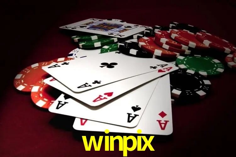 Interface Premium winpix