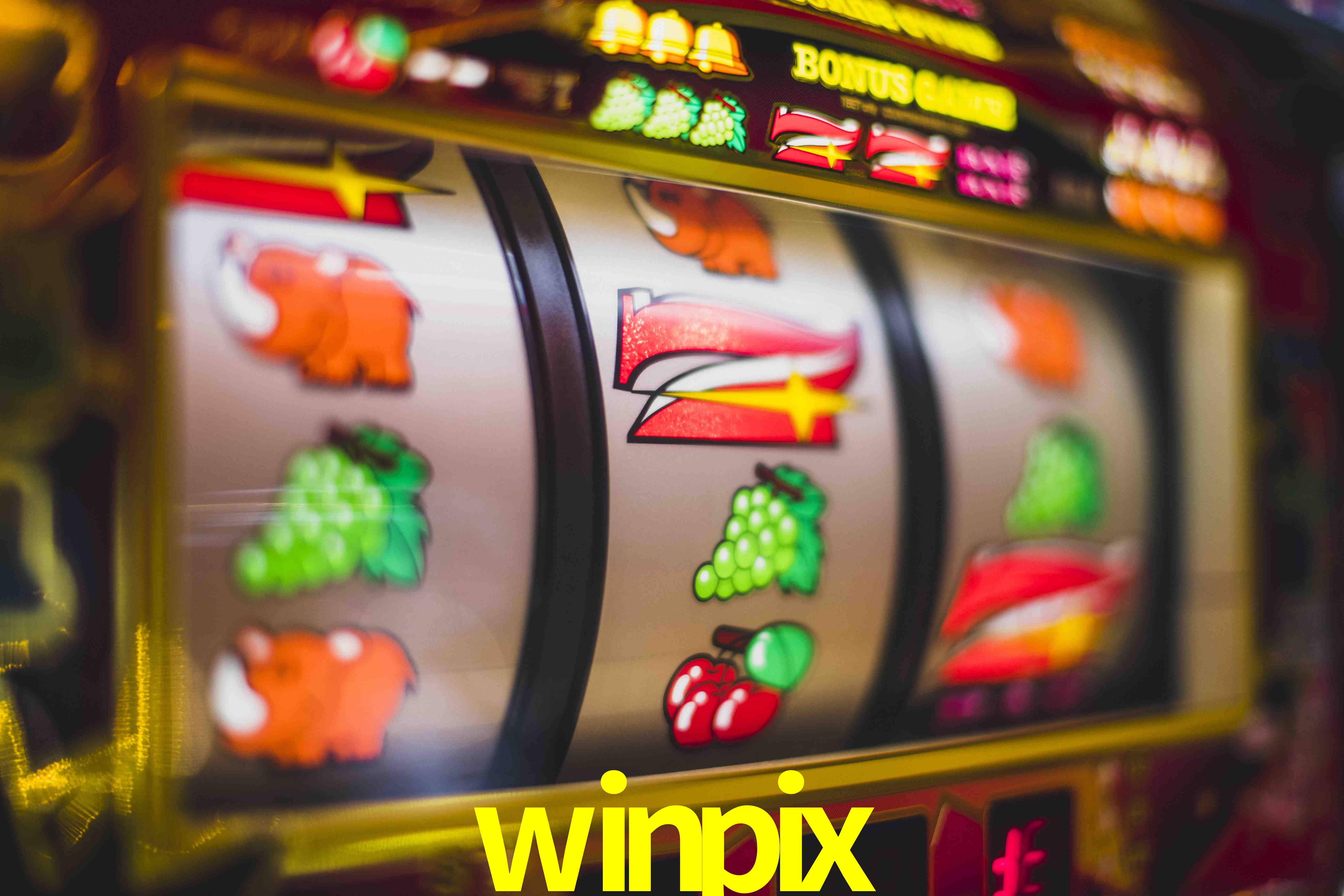 Basketball Betting winpix
